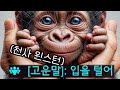 참고 참다 터져버린 보기드문 천사 탱커 유저 ㅋㅋㅋㅋㅋㅋㅋㅋㅋㅋ