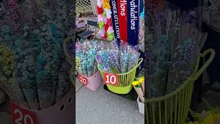 Thailand Chinag Rai Students Video #shortvideo #thailnd #thailandvideo #festivalvideo #niecvideo