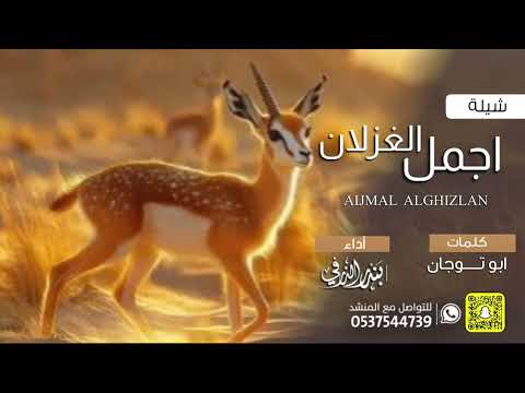 اجمل الغزلان كلمات ابو توجان اداء بندر الذرفي