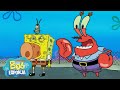 Bob Esponja | ¡Don Cangrejo y Plankton van a la escuela! ⭐️ | Bob Esponja en Español