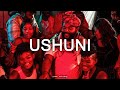 [FREE] Sjava Type Beat x Big Zulu - "Ushuni" African Trap Type Beat 2023