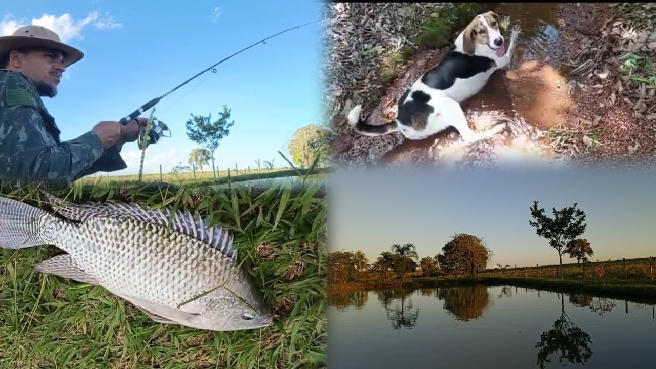 Peguei o maior PEIXE do dia! 😱🎣