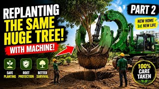 How Big Trees Are Replanted After Shifting 🌳 | Machine Process | part 2