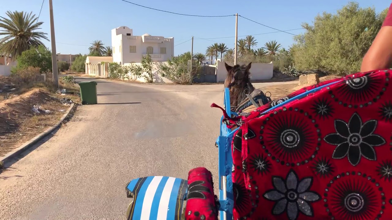 ДЖЕРБА поездка в карете