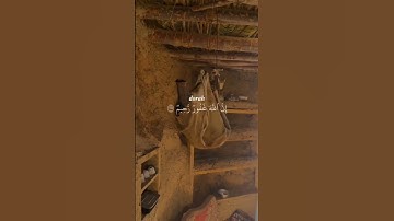 واستغفروا الله ان الله غفور رحيم❤سورة الزمر #شريف_مصطفى