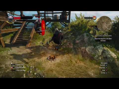 Crouching Tiger Hidden Geralt (Witcher 3: Wild Hunt)