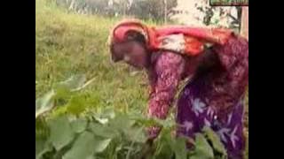 Horja Harangan (Lagu Simalungun)