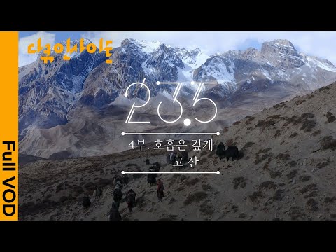 해발 8,000m가 넘는 고지에서 야크와 함께 살아가는 히말라야 사람들 | 다큐인사이트 - 23.5 제4부 호흡은 깊게 : <strong>고산</strong> | KBS 20200326 방송