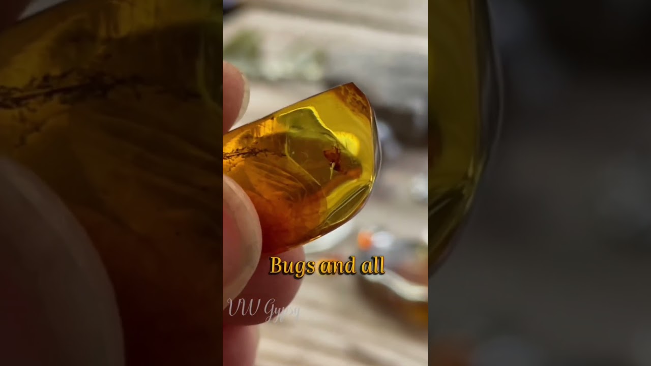 What is Amber & how to test if it’s real.