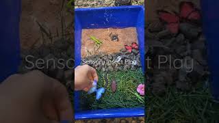 Sensory Insect Play!