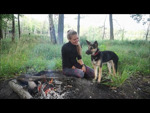 Wideo: Piesze wycieczki z psem