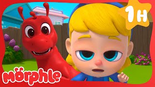 Mila is Sick! 🤒 | Mila and Morphle 🔴 Morphle 3D | Cartoons for Kids