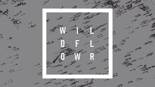 Dutchkid - Wildflower (Official Lyric Video)