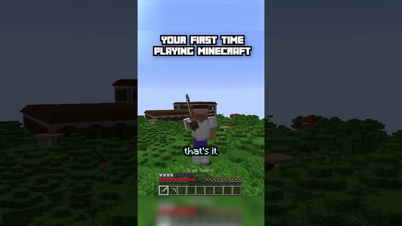 POV: You play minecraft for the first time... #minecraftmemes