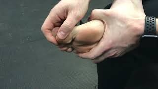 Passive Range of Motion of Great Toe