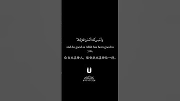 ما تيسر من سورة القصص بصوت القارئ عبد البديع غيلان || وابتغ فيما آاتاك الله الدار الآخرة  #قرآن
