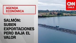 Consejo del Salmón habló sobre estado de la industria | Agenda Económica