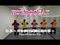 【HOT DOG CAT】D.S.~犬も歩けば棒に当たる~ Dance Practice Ver.~