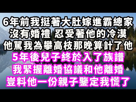 6年前我挺著大肚嫁進霸總家，沒有婚禮，忍受著他的冷漠，他駡我為攀高枝那晚算計了他，5年後兒子終於入了族譜，我緊握離婚協議和他離婚，豈料他一份親子鑒定我慌了#爽文完結#甜虐文#爽文球場#小三#豪門#霸總