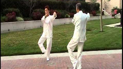 Two people mirror Tai Chi form 24