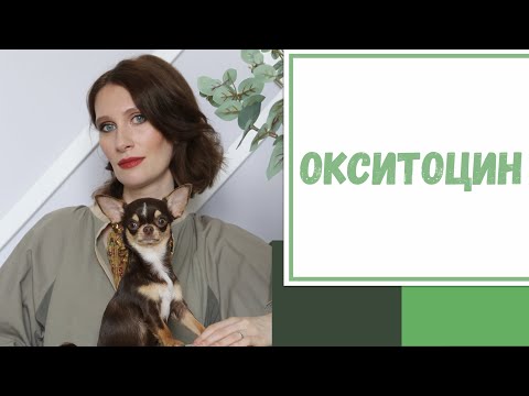 Лайфхак №106. Окситоцин