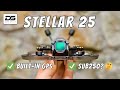 DeepSpace FPV Stellar 25 - the ultimate sub250g 2.5" Cinewhoop?