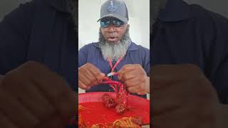 Highlight 29:45 - 34:41 from Crawfish FESTIVAL