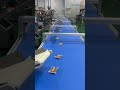 Bagged Nuts Production Line #Belt Conveyor Line #Food Production Packaging Line #Factory Equipment