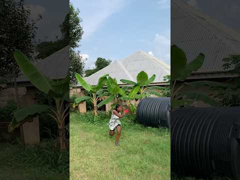 Music Beats Remix Song Amapianotv Musicgenre Funny Comedy 