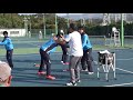 最適な打点位置と力を抜いたボールタッチを伝える方法（講師：竹内映二 第19回テニスフォーラムより）