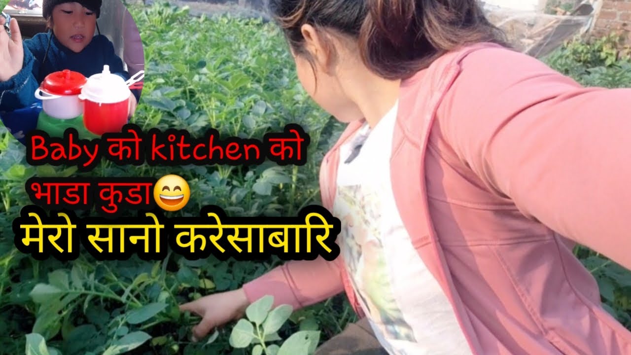 Simple Life, Green Life 🌱 | मेरो करेसा बारी | बच्चा संग सानो घर⛺️ ठुलो खुसि😊