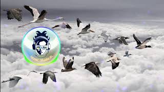 Samewhare in memory remake ( Music Station )