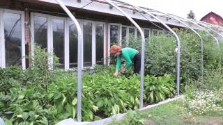 Kookoolan Commercial Accounts