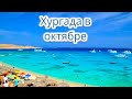 Египет 2023. Хургада в октябре. Пляж отелей Pyramisa Beach Sahl Hasheesh 5* / The V Luxury Resort 5*