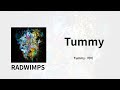 Welcome to the new world 👶 | RADWIMPS - Tummy(터미) 가사/독음/번역