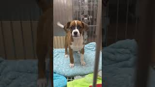 Someones Gonna Say This Is Ai