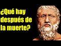 Platon  hay vida despus de la muerte  filosofa griega