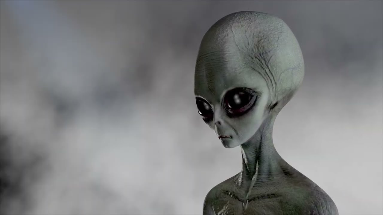 "Jizz Wailers Jam"  The more "Down-To-Earth" Version     Copyright 2026