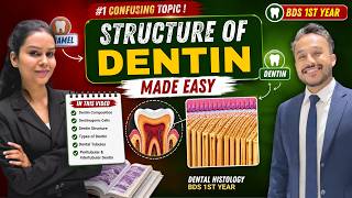 Structure of Dentin Dental Histology BDS 1st Year | Made Easy Johari BDS