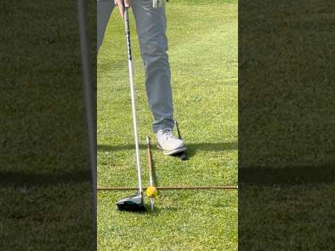 Golf driver tip #golf #golfswing #golftips #golfer #golfdriver #golfing #golfinstruction #golflife