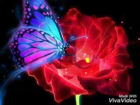 Ilave Nil Ila Rakangal Paadum