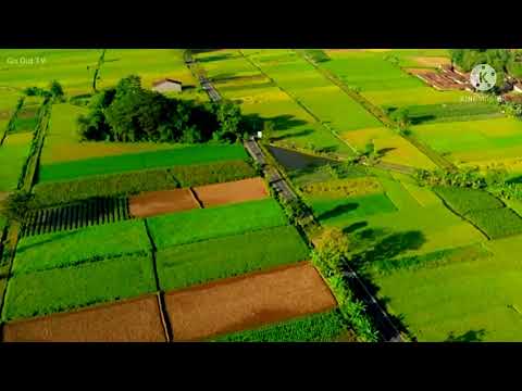 Lirik sholawat!! merah putih indonesia by.. hadra !geslim kangean