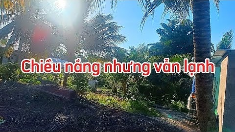 Chiều nắng nhưng lạnh 11/10/2025 AL