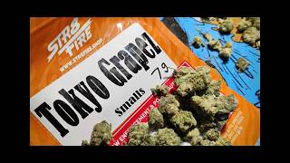 TOKYO GRAPEZ - STR8FIRE - THCA