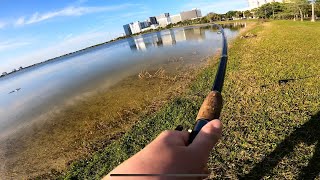Catching a 3.5 pound bass in Florida