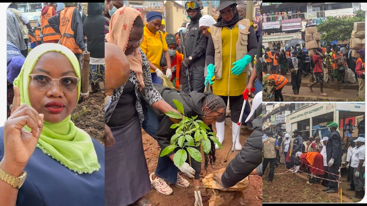 NO HAAWKERS - KCCA workers led by the ED Buzeki, plant grass at one of the city's green belts.