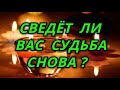 Сведёт ли вас судьба снова?