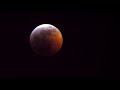 Blood Moon Lunar eclipse Jan 20 2019