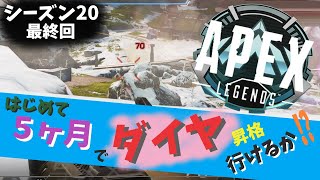 シーズン20最終回！ダイヤいけるか！？初心者がソロでどこまでいけるか挑戦する！【 Apex Legends 】