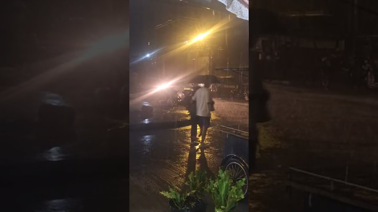 Rainy Monday Night! Rosy Sam is live!